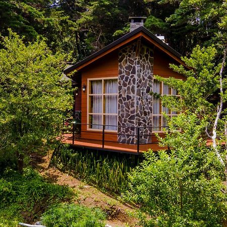 Los Pinos Cabins & Reserve Monteverde Ngoại thất bức ảnh