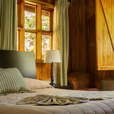 Los Pinos Cabins & Reserve Monteverde Ngoại thất bức ảnh