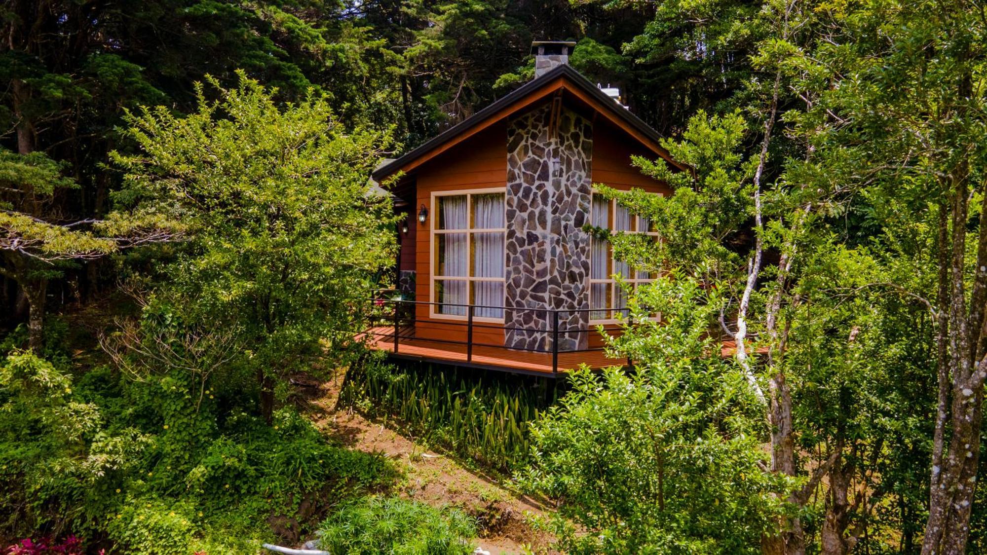 Los Pinos Cabins & Reserve Monteverde Ngoại thất bức ảnh