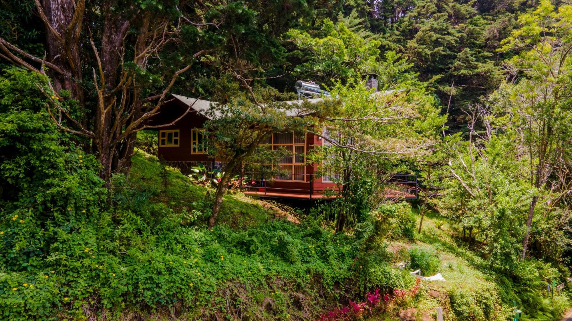 Los Pinos Cabins & Reserve Monteverde Ngoại thất bức ảnh