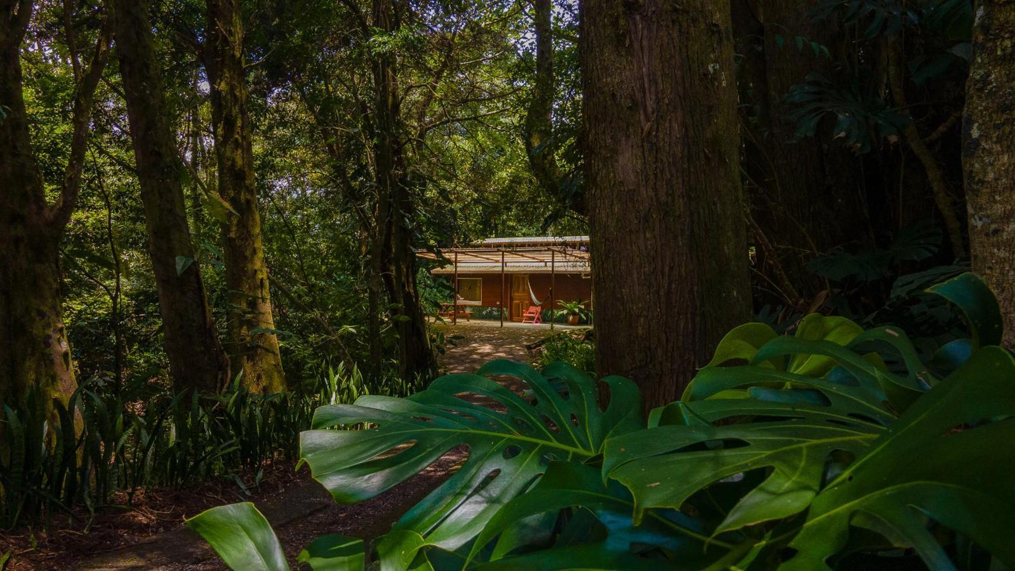 Los Pinos Cabins & Reserve Monteverde Ngoại thất bức ảnh