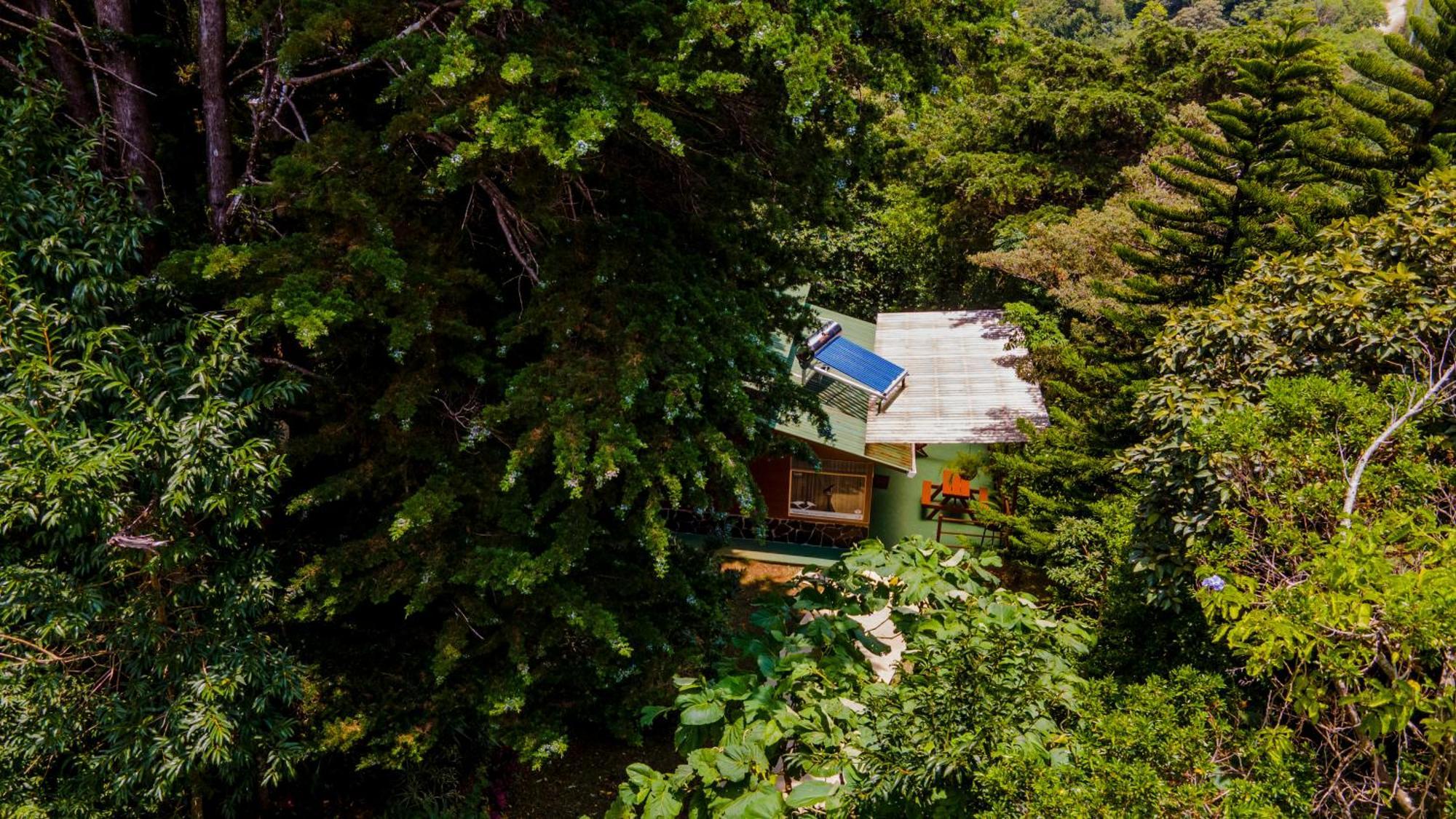 Los Pinos Cabins & Reserve Monteverde Ngoại thất bức ảnh
