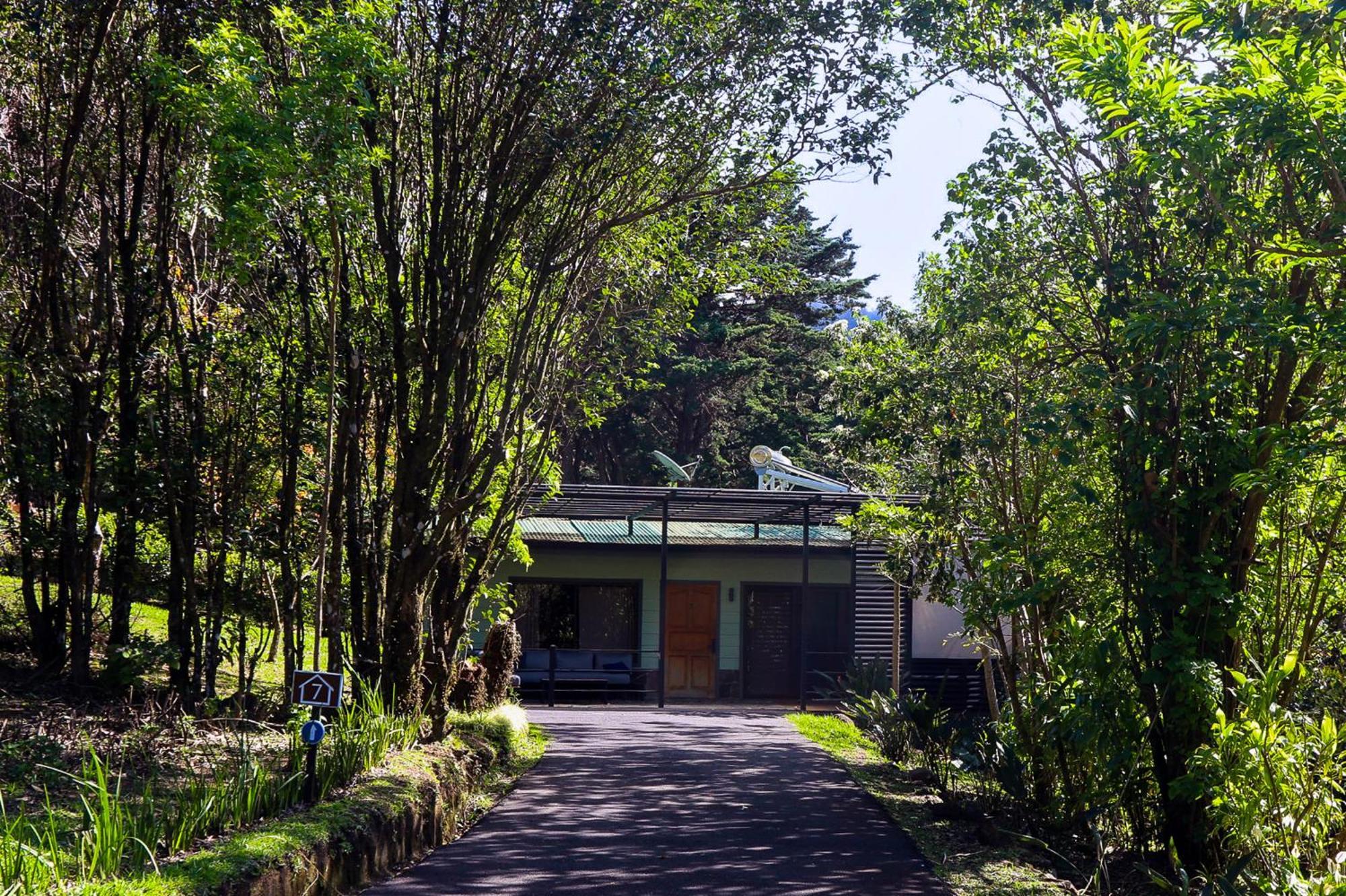 Los Pinos Cabins & Reserve Monteverde Ngoại thất bức ảnh