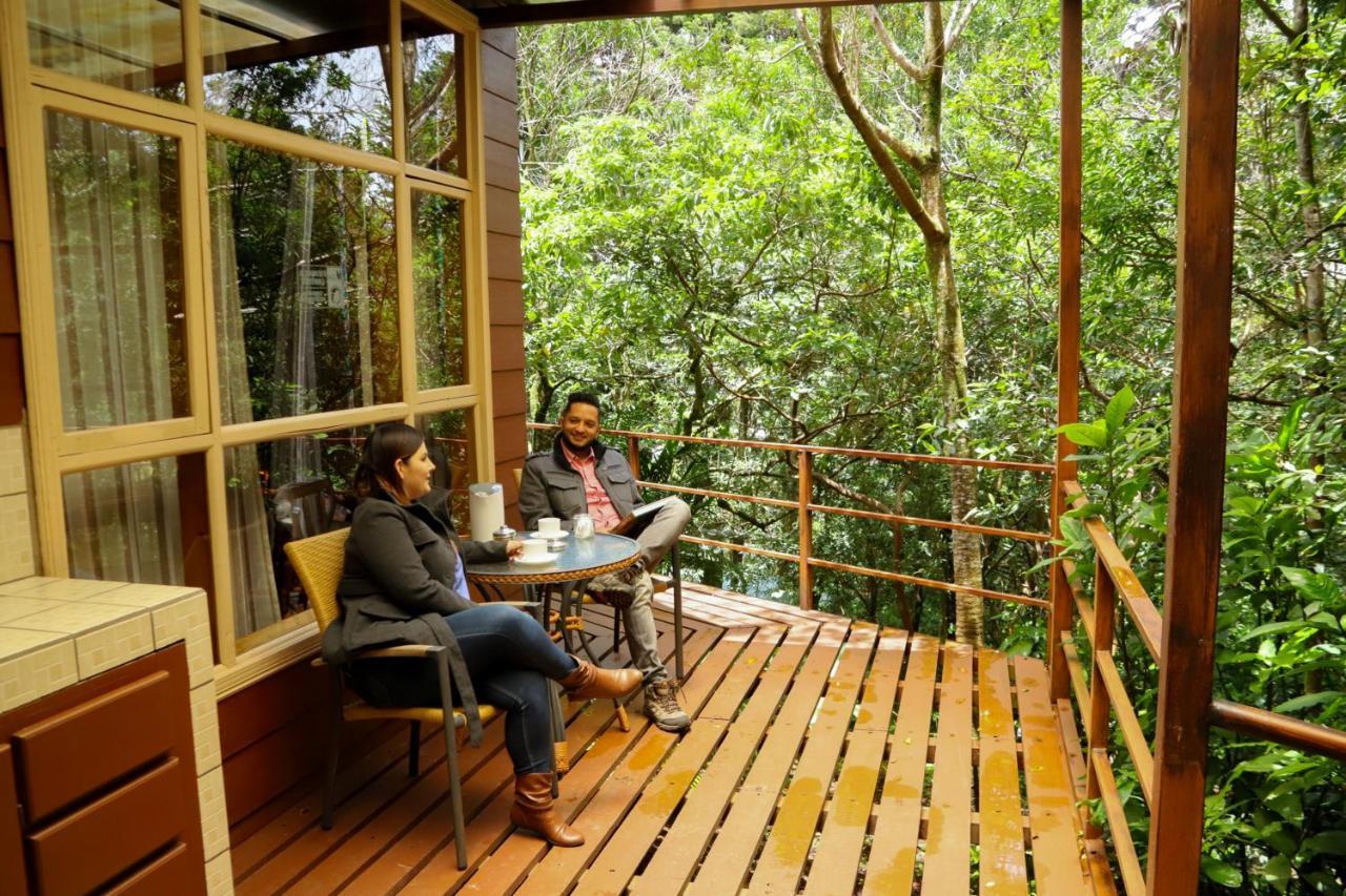 Los Pinos Cabins & Reserve Monteverde Ngoại thất bức ảnh