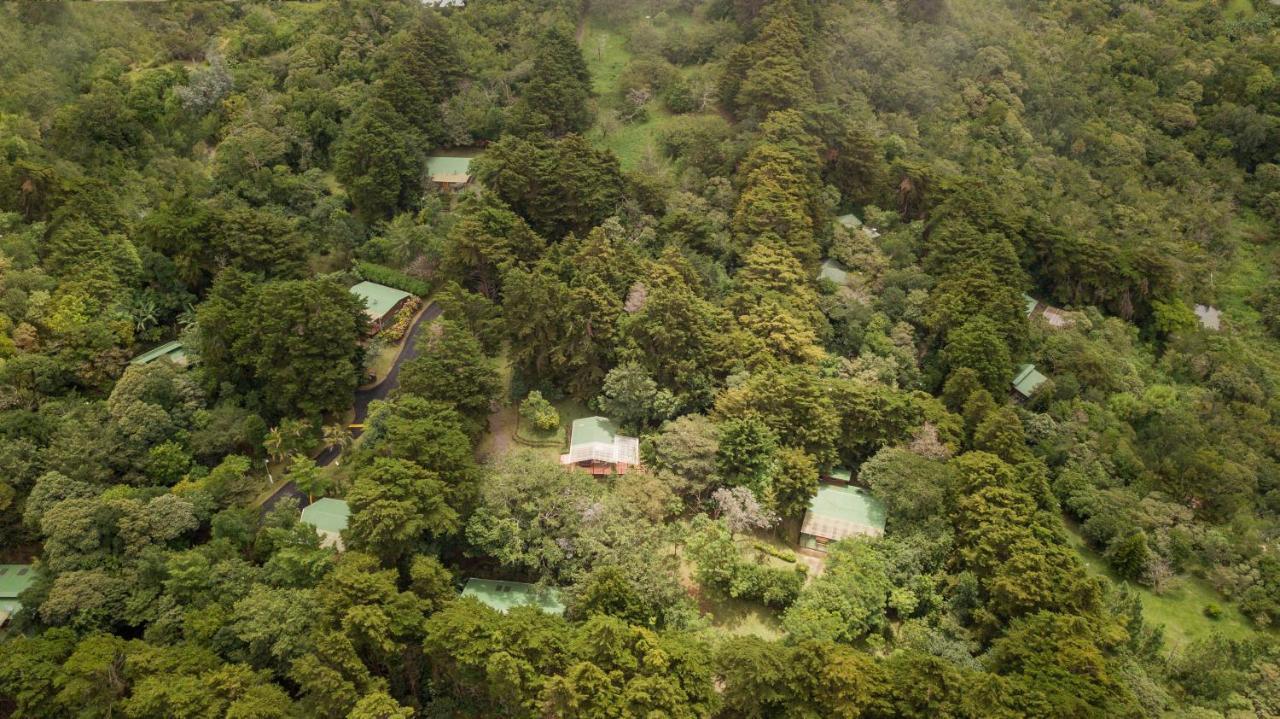 Los Pinos Cabins & Reserve Monteverde Ngoại thất bức ảnh